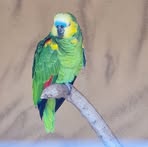 Maggie Mullen - Facebook