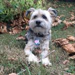 Maggie Mullen 🐾 - @maggiemaymullen - Instagram