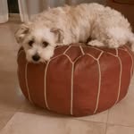 Maggie Mullens - @maggie_mullens123 - Instagram