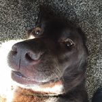 @_maggie_murray - Instagram