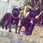missy & maggie ness - @missymaggieness - Instagram