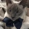Emma b Kate  - @oakleymaggie - TikTok