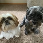 Oscar and Maggie O’Donnell - @oscarmaggieodonnell - Instagram