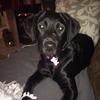 Oliver.Maggie - @oliver.maggie - TikTok