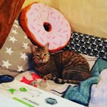 917052 - @maggie_ottman - Instagram