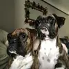 MaggieOtto - @maggieottosho - TikTok
