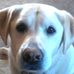 Maggie Pack - Facebook