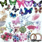 Maggie Paddock - Facebook