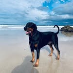 Maggie padgett - @magsnpado - Instagram