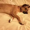 Maggie - @maggiepainter - TikTok