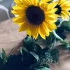 Maggie Rose Painter - @maggierosepainter - TikTok