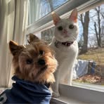 Maggie Plummer - Facebook
