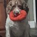 Maggie Reilly - Facebook