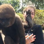 Maggie Reilly - @swaggiereilly - Instagram