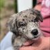 Maggie Reilly - Facebook