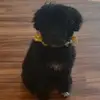 Maggie:))))) - @maggie_rex_is_da_best - TikTok