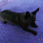 Maggie_rex - @maggie_rex - Instagram