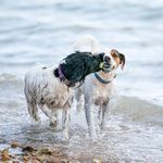 Rex and Maggie - @rex_and_maggie - Instagram