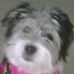 Maggie Ritchie - Facebook