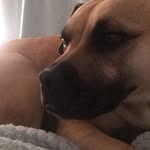 @maggie.rochelle4 - Instagram