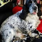 Maggie Root - @maggie.root.355 - Instagram