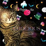 Maggie Rosado - @ferocious_cat_official - Instagram