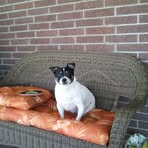 Maggie Roundtree - Facebook