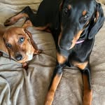 maggie & rue - @missmaggiexrue - Instagram