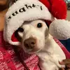 Maggie and Winne La Rue - @maggielarue23 - TikTok