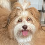 Maggie - @maggieruestahl - Instagram