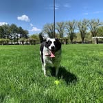 Maggie Rue - @queen.maggie.rue - Instagram