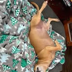 Maggie Rue - Facebook