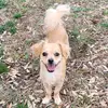 Peanut&MaggieRue - @peanutmaggierue - TikTok