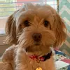 user8493764791098 - @maggierue7 - TikTok