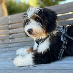 Maggie Ruffers - @maggie.ruffers - Instagram