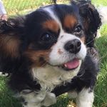 Maggie Ruffles - @maggieruffles - Instagram
