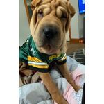 Maggie Ruffles Brown - @maggierufflesbrown - Instagram
