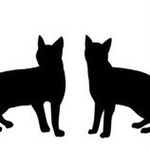 🐱🖤𝕄𝕒𝕘𝕘𝕚𝕖 & 𝕊𝕒𝕞𝕤𝕠𝕟🖤🐱 - @maggie_samson - Instagram