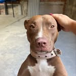 Maggie - @_maggiesantos - Instagram