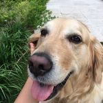 Maggie Santos - @maggie_the_best_ - Instagram