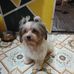 Maggie Santos - Facebook