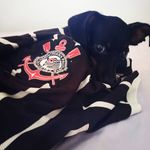 Maggie Santos - @maggie_pinscher_21 - Instagram