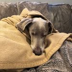 Maggie Shoemaker - @lastchancemaggie - Instagram