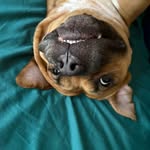 Maggie Shoemaker - @magz.a.million - Instagram