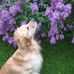 Maggie Simms - Facebook