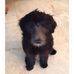 Maggie Simms - Facebook