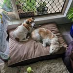 Maggie Sinclair - @maggiesinclair1953 - Instagram