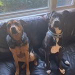maggie and star singer - @maggieandstar - Instagram