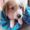 Maggie Singh - @maggie.singh - TikTok