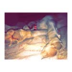 Maggie Slone - @mslone_photos - Instagram